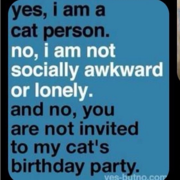 Hello hello! - Picture 9 of 9